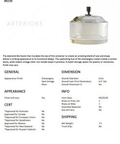 Arteriors Home New Arrivals Damascus Container