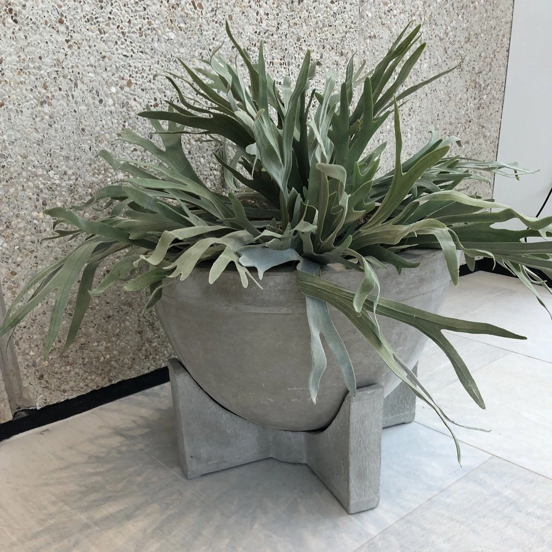 Made Goods Flavia Concrete Planter 5 Made Goods Flavia Concrete Planter