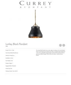 Currey And Company New Arrivals Lumley Black Pendant