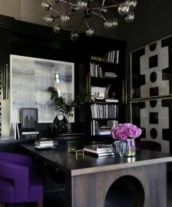 Natural Curiosities Paule Marrot Black & White Abstract Framed Artwork New Arrivals