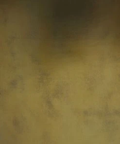 Worlds Away New Arrivals Webster Cocktail Table 19 Worlds Away New Arrivals Webster Cocktail Table