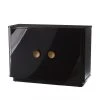 Arteriors Home New Arrivals Kennedy Chest