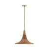 Arteriors Home Nicola Pendant New Arrivals