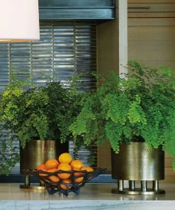 Arteriors Home New Arrivals Japanese Cachepot 16 Arteriors Home New Arrivals Japanese Cachepot