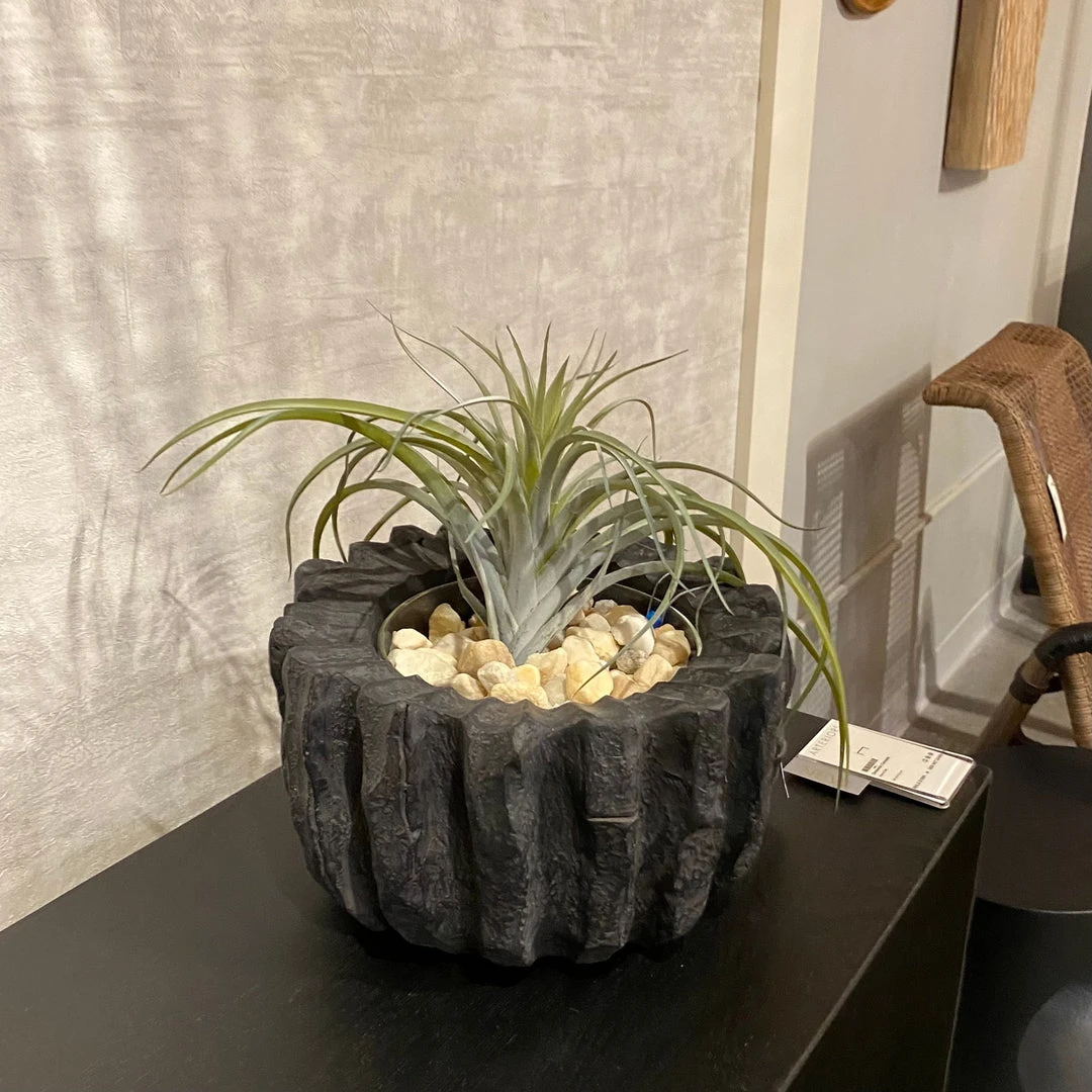 Arteriors Home New Arrivals Mangrove Centerpiece 5 Arteriors Home New Arrivals Mangrove Centerpiece