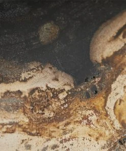 Arteriors Home Vesper Sculptures Set Of Three 25 Arteriors Home Vesper Sculptures Set Of Three