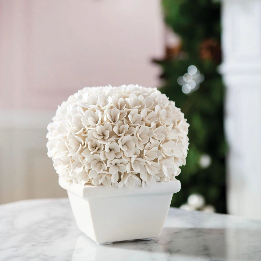 Bungalow 5 Boston Round Boxwood Topiary New Arrivals 4 Bungalow 5 Boston Round Boxwood Topiary New Arrivals