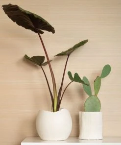 Bungalow 5 New Arrivals Cambria Vase