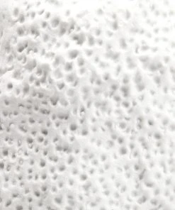 Bungalow 5 Ciara Large Vase White New Arrivals