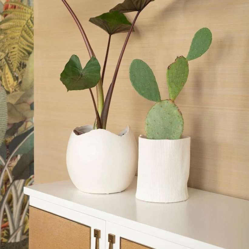 Bungalow 5 Corum Cache Pot 6 Bungalow 5 Corum Cache Pot