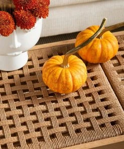 Bungalow 5 Dylan Bench Natural 16 Bungalow 5 Dylan Bench Natural