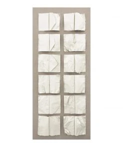 Natural Curiosities New Arrivals Cooking The Books Artwork White