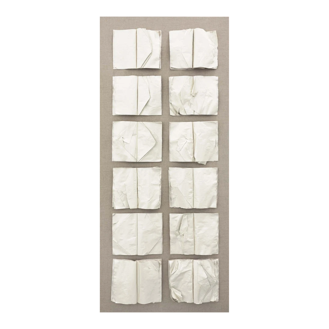 Natural Curiosities New Arrivals Cooking The Books Artwork White 3 Natural Curiosities New Arrivals Cooking The Books Artwork White