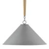 Currey And Company New Arrivals Oldany Pendant 1 Currey And Company New Arrivals Oldany Pendant