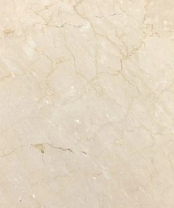 Four Hands New Arrivals Belle Round Dining Table Cream Marble 27 Four Hands New Arrivals Belle Round Dining Table Cream Marble