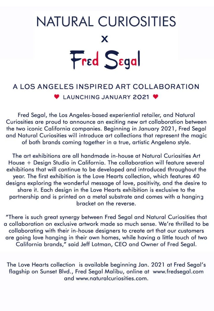 Natural Curiosities Palm Springs Golden Palm 1 Series 2 New Arrivals 7 Natural Curiosities Palm Springs Golden Palm 1 Series 2 New Arrivals