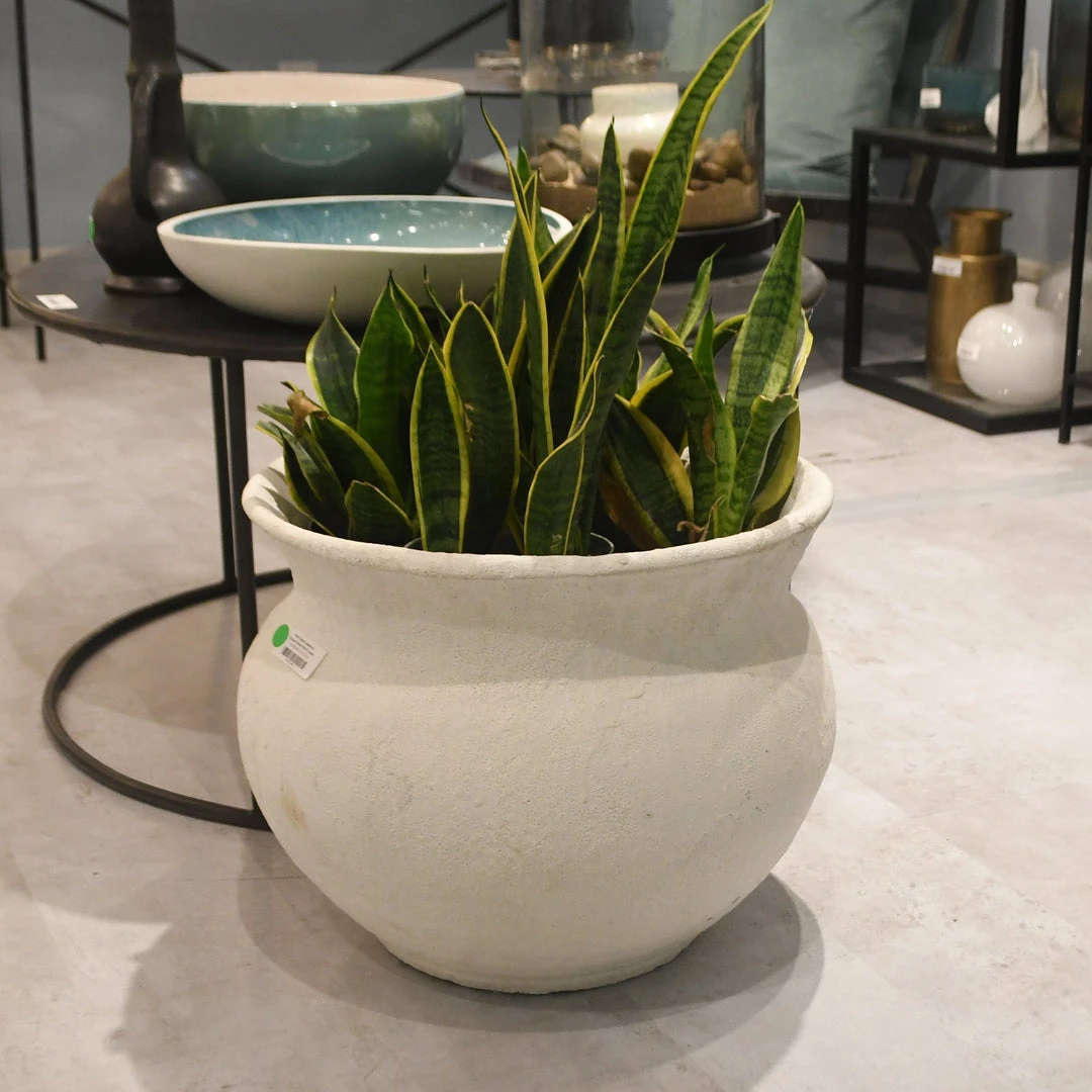 Jamie Young Ashen Cauldron New Arrivals 6 Jamie Young Ashen Cauldron New Arrivals