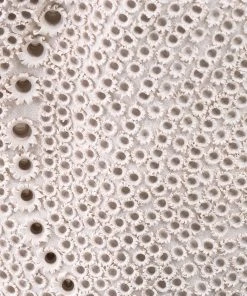 Jamie Young Eclipse Vase New Arrivals 13 Jamie Young Eclipse Vase New Arrivals