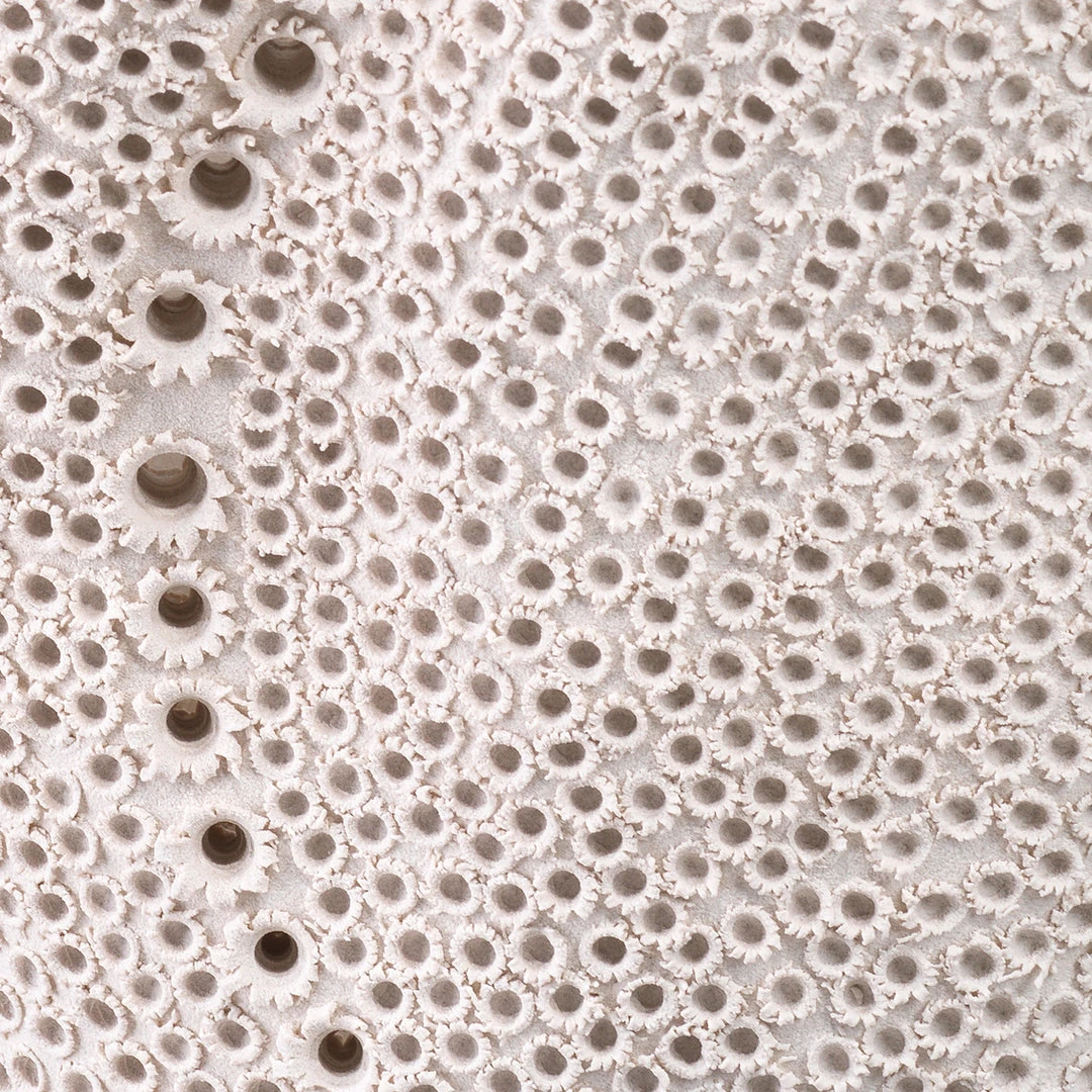 Jamie Young Eclipse Vase New Arrivals 8 Jamie Young Eclipse Vase New Arrivals