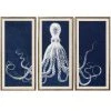 Natural Curiosities Lord Bodner Triptych In Blue Framed Artwork