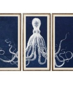 Natural Curiosities Lord Bodner Triptych In Blue Framed Artwork