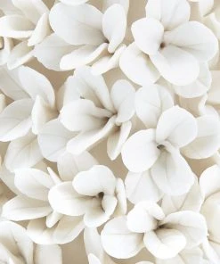 Bungalow 5 New Arrivals Mayfair Topiary 13 Bungalow 5 New Arrivals Mayfair Topiary