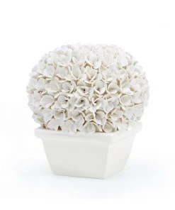 Bungalow 5 Boston Round Boxwood Topiary New Arrivals 17 Bungalow 5 Boston Round Boxwood Topiary New Arrivals