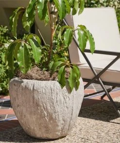 Made Goods Cedrus Planter Large