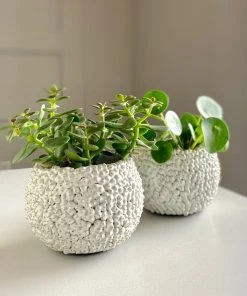 Made Goods Feri Vase Set Of Two