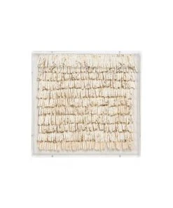 Made Goods Tarni Square Artwork Gold Coco Sticks New Arrivals