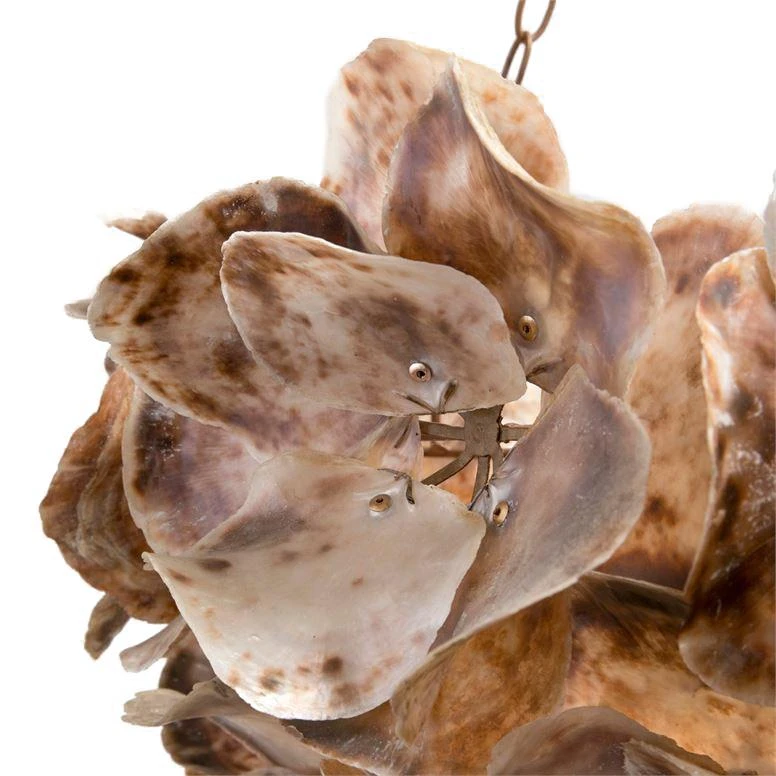 Made Goods Venus Chandelier Natural Saddle 6 Made Goods Venus Chandelier Natural Saddle