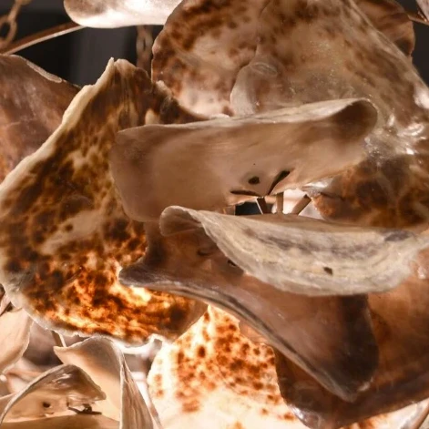 Made Goods Venus Chandelier Natural Saddle 9 Made Goods Venus Chandelier Natural Saddle