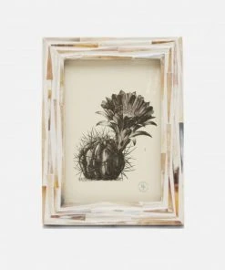 Pigeon And Poodle New Arrivals Winslow Frame Natural Mix Horn