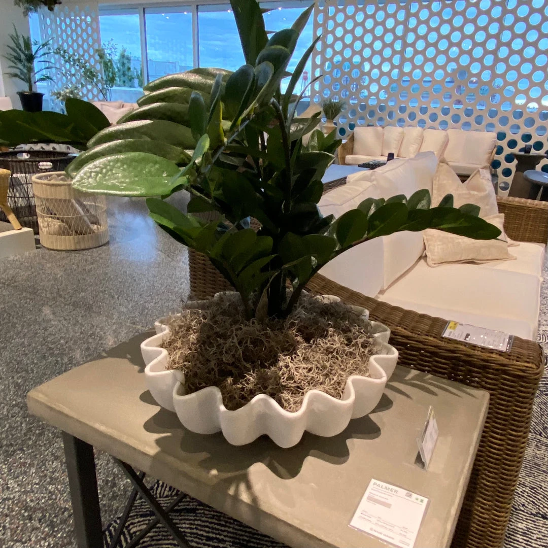 Made Goods Darci Marble Bowl Wide Low 5 Made Goods Darci Marble Bowl Wide Low