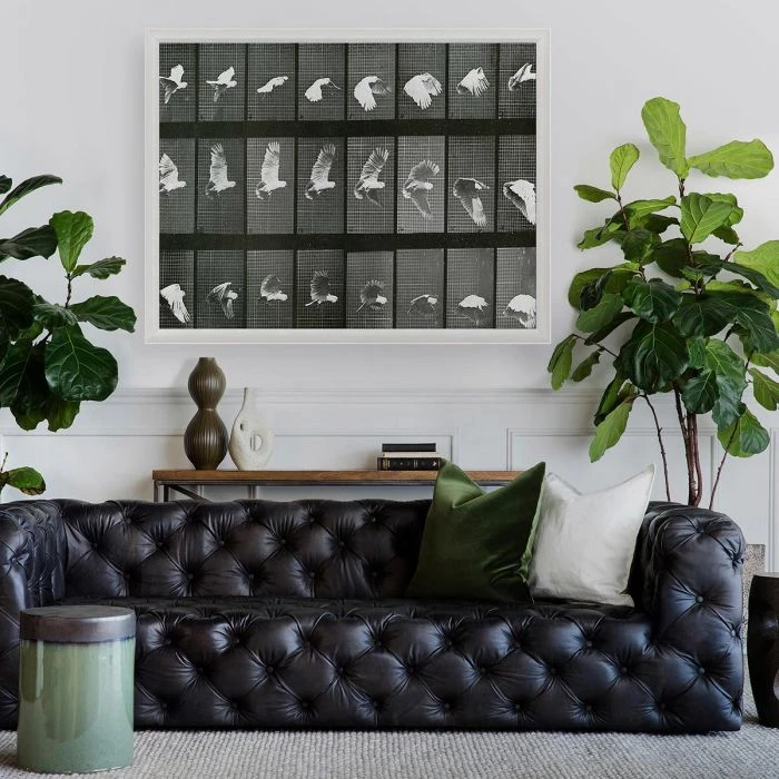 Natural Curiosities New Arrivals Animals In Motion Doves No. 1 Natural Curiosities New Arrivals Animals In Motion Doves No. 1