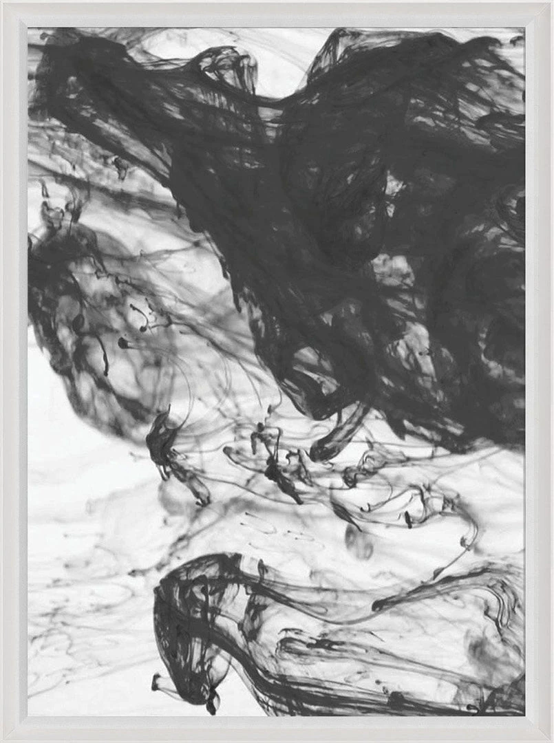 Natural Curiosities New Arrivals Black And White Ink And Water Framed Artwork No. 21 3 Natural Curiosities New Arrivals Black And White Ink And Water Framed Artwork No. 21