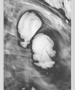 Natural Curiosities New Arrivals Black And White Ink And Water Framed Artwork No. 4