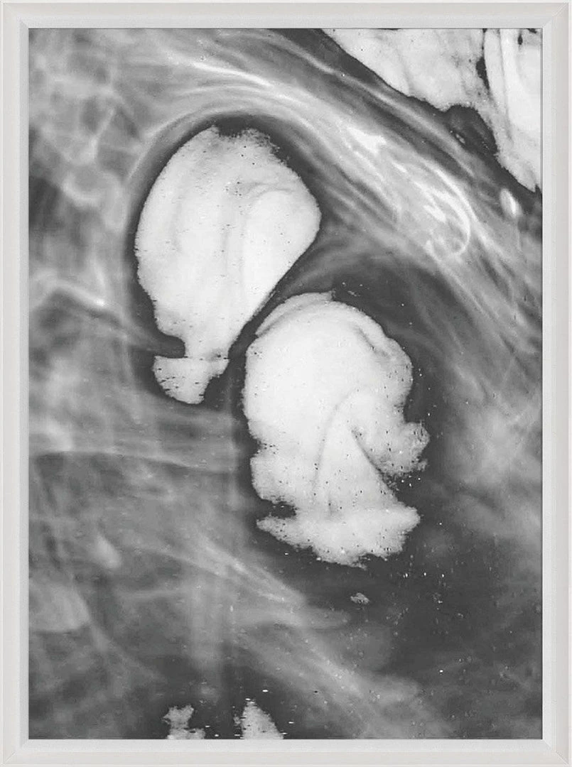 Natural Curiosities New Arrivals Black And White Ink And Water Framed Artwork No. 4 3 Natural Curiosities New Arrivals Black And White Ink And Water Framed Artwork No. 4