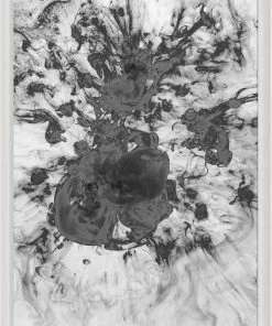 Natural Curiosities New Arrivals Black And White Ink And Water Framed Artwork No. 7