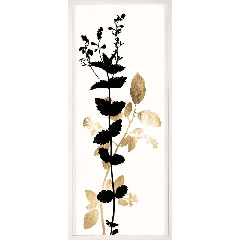 Natural Curiosities Black And White Herbarium 1 Framed Artwork New Arrivals 3 Natural Curiosities Black And White Herbarium 1 Framed Artwork New Arrivals