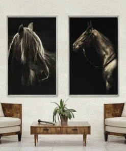 Natural Curiosities Caballus Framed Artwork