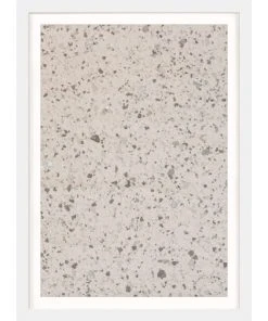 Natural Curiosities Calm State 2 Framed Artwork New Arrivals