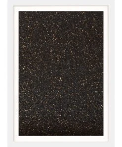 Natural Curiosities Calm State 3 Framed Artwork New Arrivals