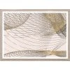 Natural Curiosities New Arrivals Elemental Framed Artwork 3 2 Natural Curiosities New Arrivals Elemental Framed Artwork 3
