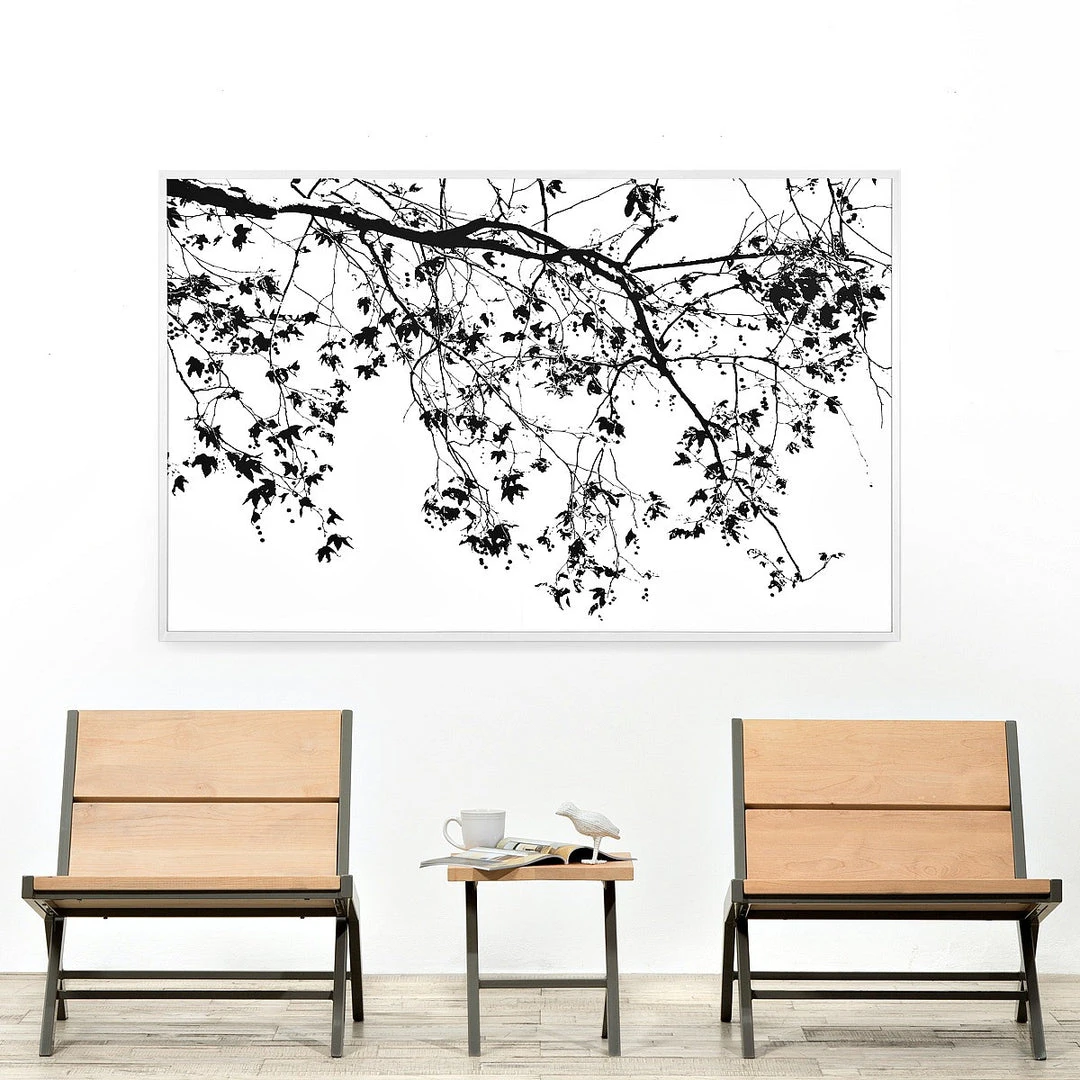 Natural Curiosities Elysian Tree Study Framed Artwork New Arrivals Natural Curiosities Elysian Tree Study Framed Artwork New Arrivals