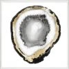 Natural Curiosities New Arrivals Black And White Geode 1 Framed Artwork 1 Natural Curiosities New Arrivals Black And White Geode 1 Framed Artwork
