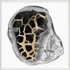 Natural Curiosities Black And White Geode 2 Framed Artwork 1 Natural Curiosities Black And White Geode 2 Framed Artwork