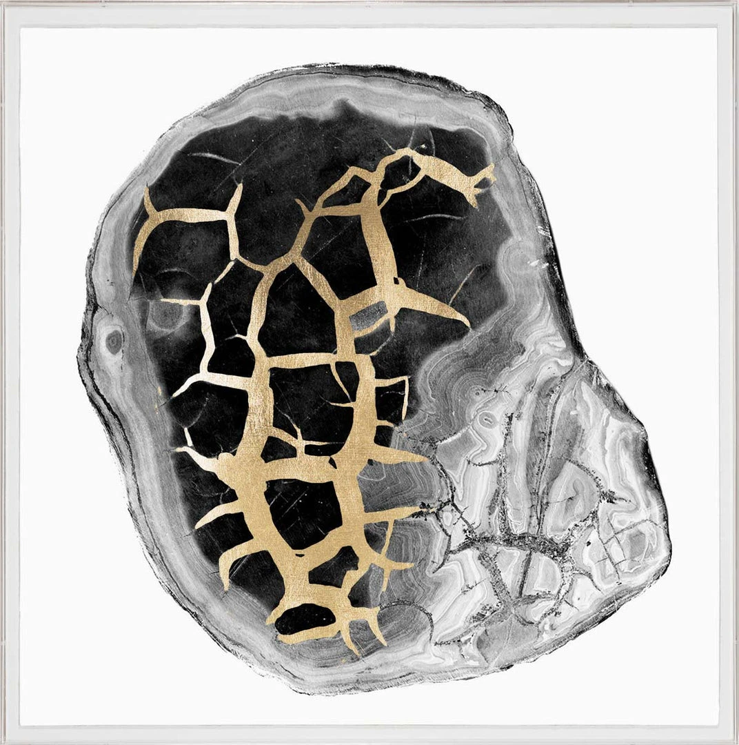 Natural Curiosities Black And White Geode 2 Framed Artwork 3 Natural Curiosities Black And White Geode 2 Framed Artwork