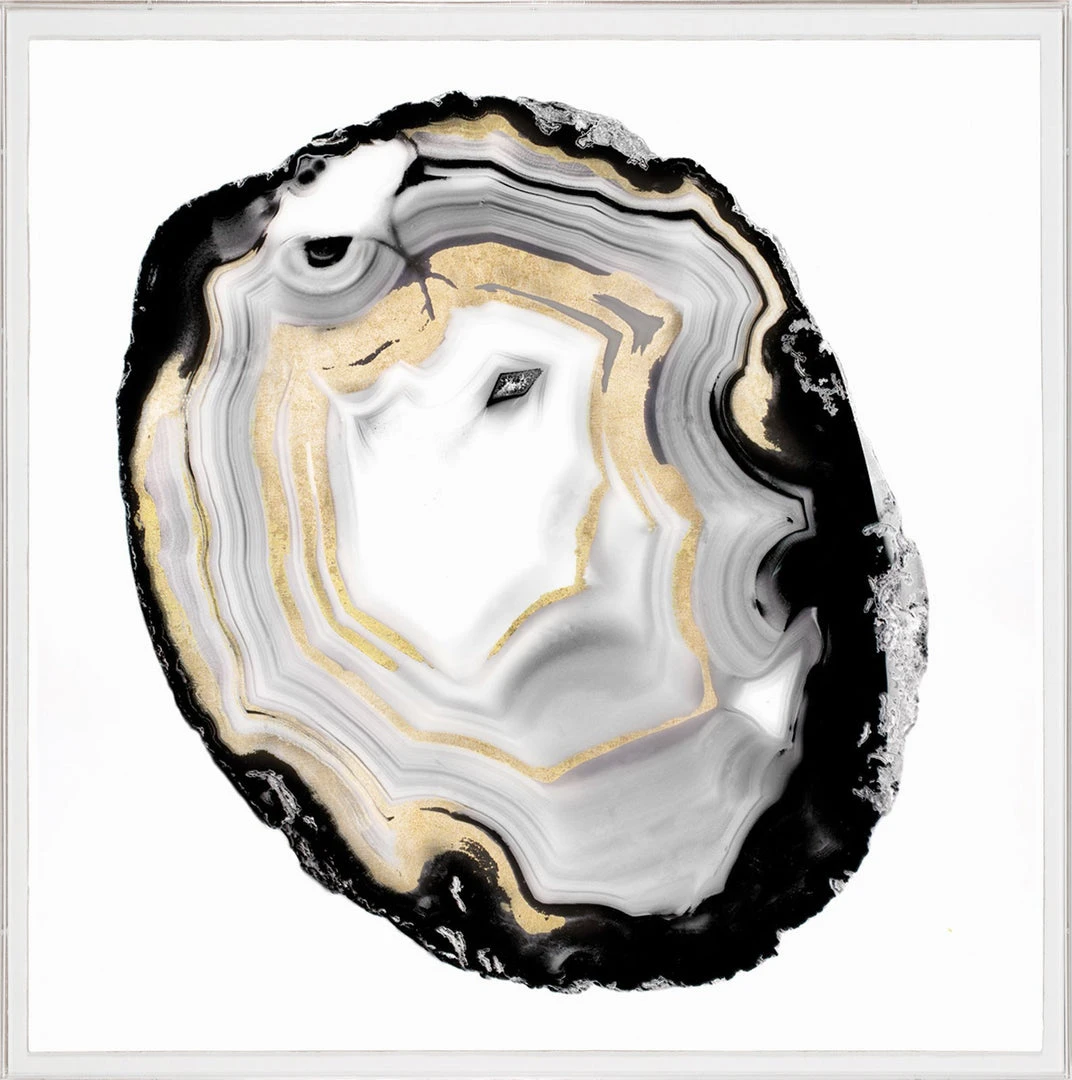 Natural Curiosities New Arrivals Black And White Geode 3 Framed Artwork 3 Natural Curiosities New Arrivals Black And White Geode 3 Framed Artwork