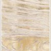 Natural Curiosities Gold Wood Grain 1 Framed Artwork New Arrivals